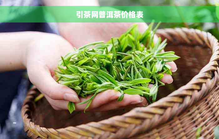 引茶网普洱茶价格表