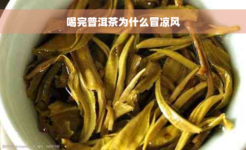 喝完普洱茶为什么冒凉风