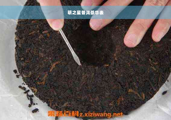 明之星普洱茶华表