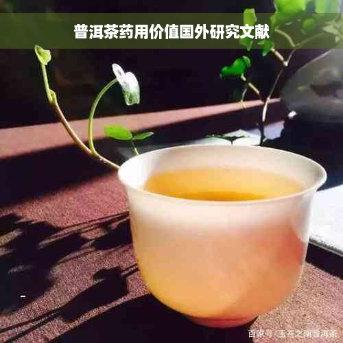 普洱茶药用价值国外研究文献