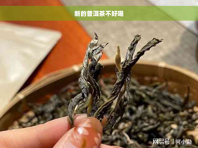 新的普洱茶不好喝