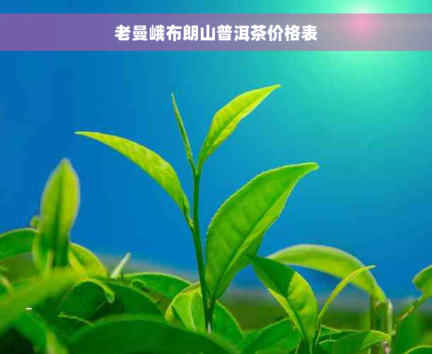 老曼峨布朗山普洱茶价格表