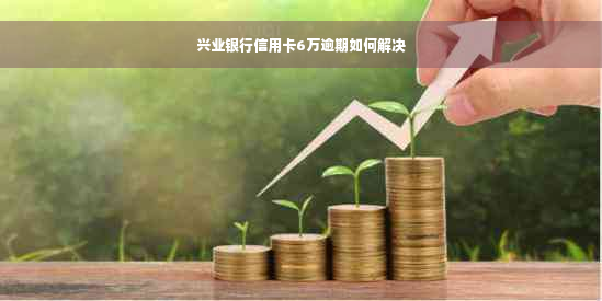 兴业银行信用卡6万逾期如何解决