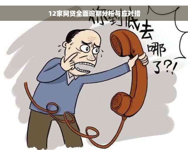 12家网贷全面逾期分析与应对措