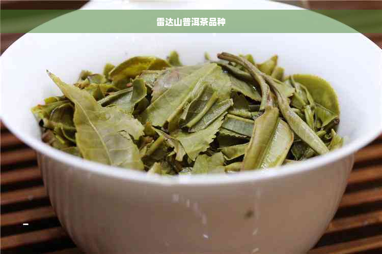 雷达山普洱茶品种