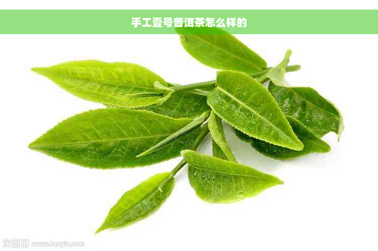 手工壹号普洱茶怎么样的