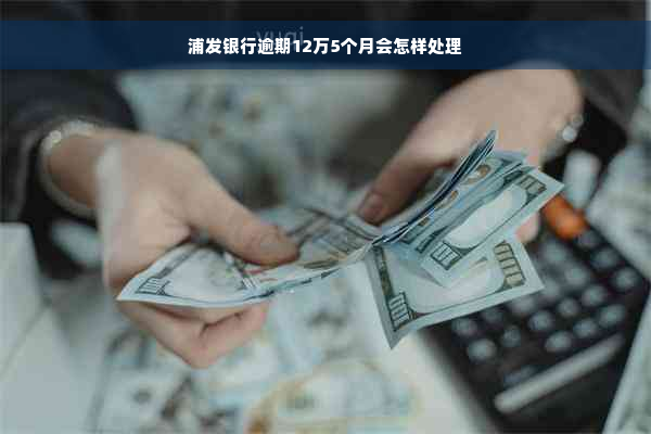 浦发银行逾期12万5个月会怎样处理