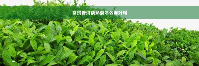 富贵普洱茶熟茶怎么泡好喝