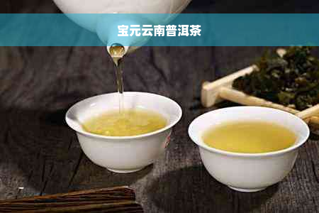 宝元云南普洱茶