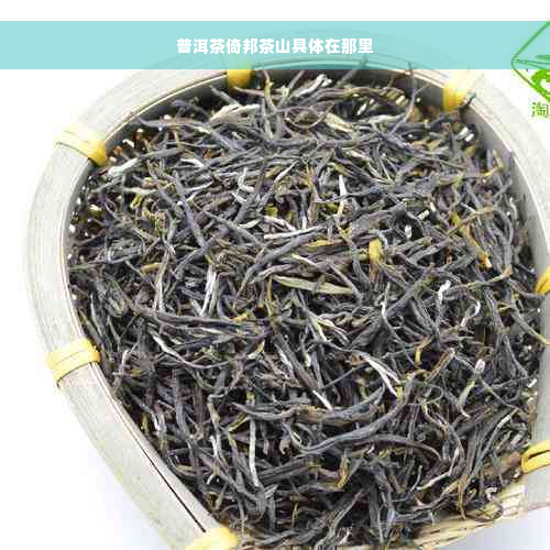 普洱茶倚邦茶山具体在那里