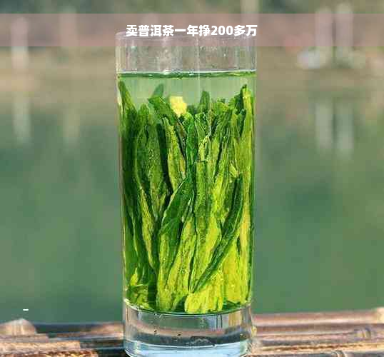 卖普洱茶一年挣200多万