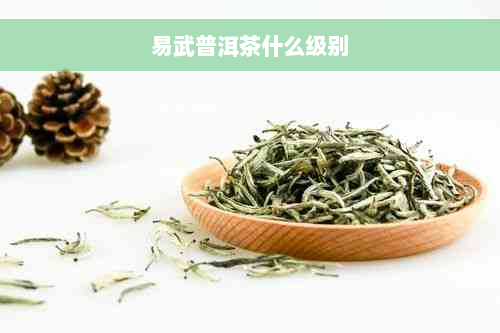 易武普洱茶什么级别