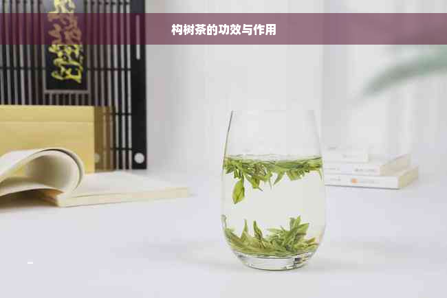 构树茶的功效与作用