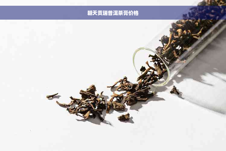 朝天贡瑞普洱茶膏价格