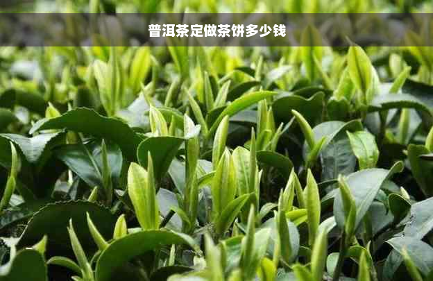 普洱茶定做茶饼多少钱