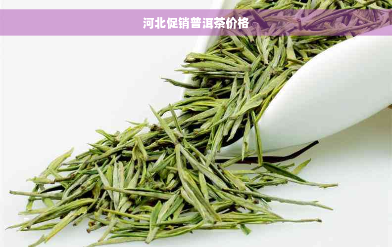 河北促销普洱茶价格