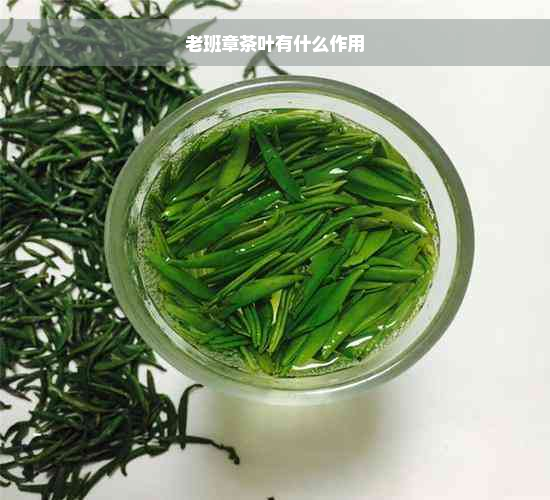 老班章茶叶有什么作用