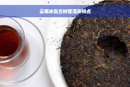 云南冰岛古树普洱茶特点