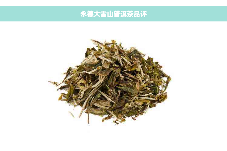 永德大雪山普洱茶品评