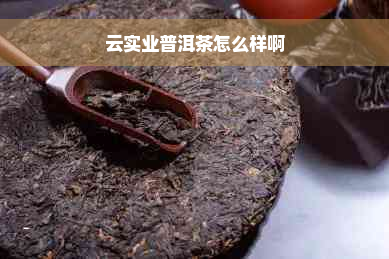 云实业普洱茶怎么样啊