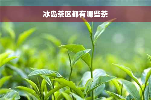 冰岛茶区都有哪些茶