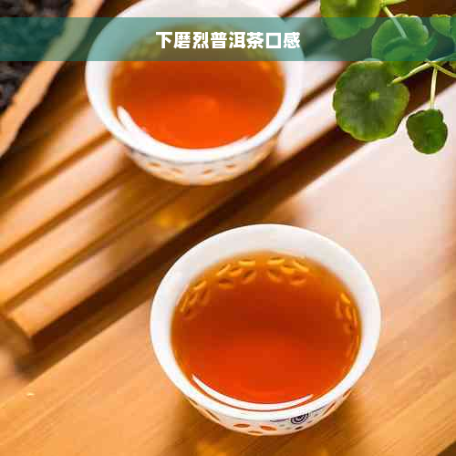 下磨烈普洱茶口感