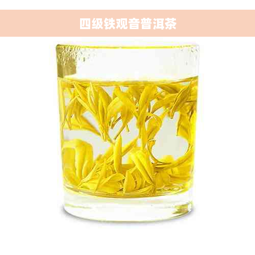 四级铁观音普洱茶