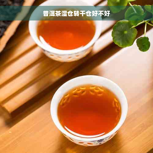 普洱茶湿仓转干仓好不好