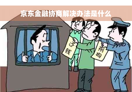 京东金融协商解决办法是什么