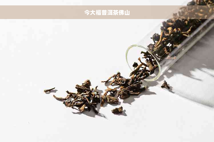 今大福普洱茶佛山