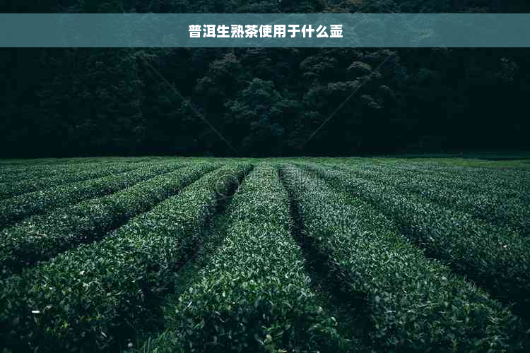 普洱生熟茶使用于什么壶