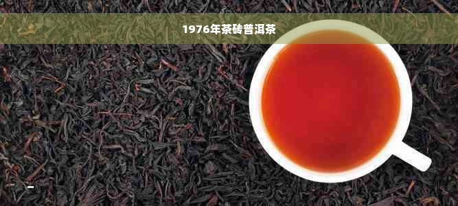 1976年茶砖普洱茶