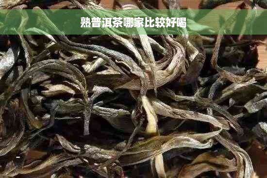 熟普洱茶哪家比较好喝