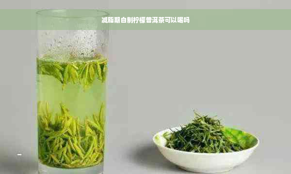 减脂期自制柠檬普洱茶可以喝吗