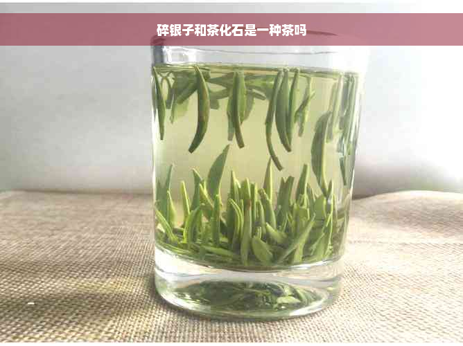 碎银子和茶化石是一种茶吗