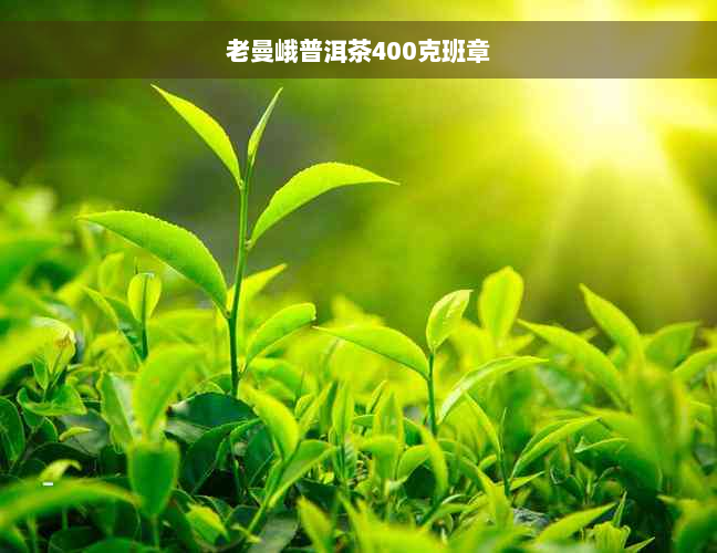 老曼峨普洱茶400克班章