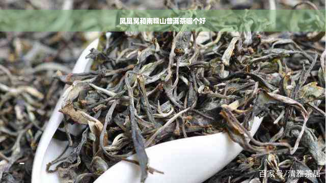 凤凰窝和南糯山普洱茶哪个好