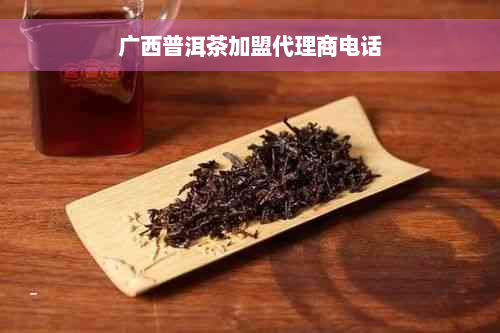 广西普洱茶加盟代理商电话