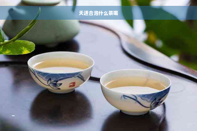 天适合泡什么茶喝