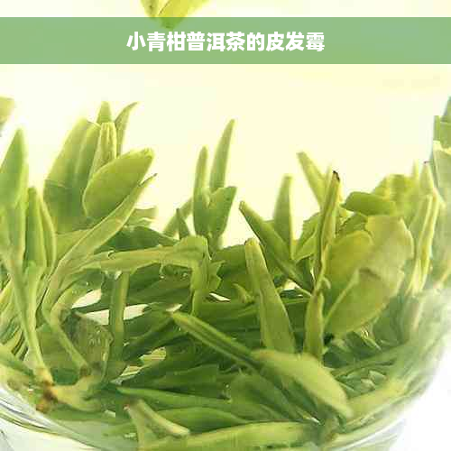 小青柑普洱茶的皮发霉