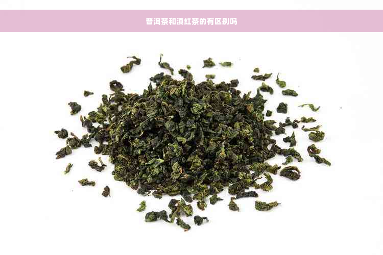 普洱茶和滇红茶的有区别吗