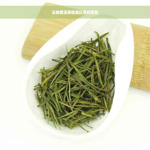 云南普洱茶和滇红茶的区别