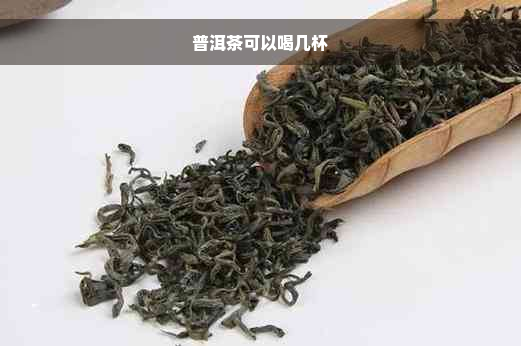 普洱茶可以喝几杯