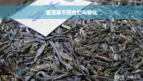 普洱茶不同仓贮与转化