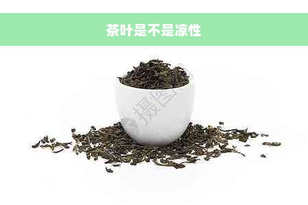 茶叶是不是凉性