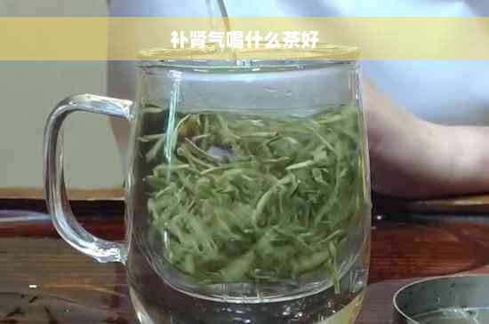 补肾气喝什么茶好