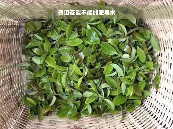 普洱茶能不能加肥皂水