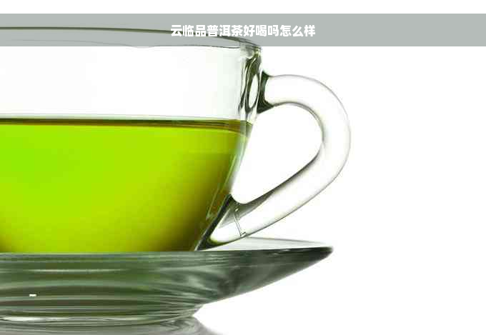 云临品普洱茶好喝吗怎么样