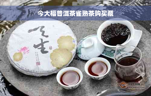 今大福普洱茶雀熟茶购买藏