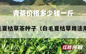 青茶价格多少钱一斤